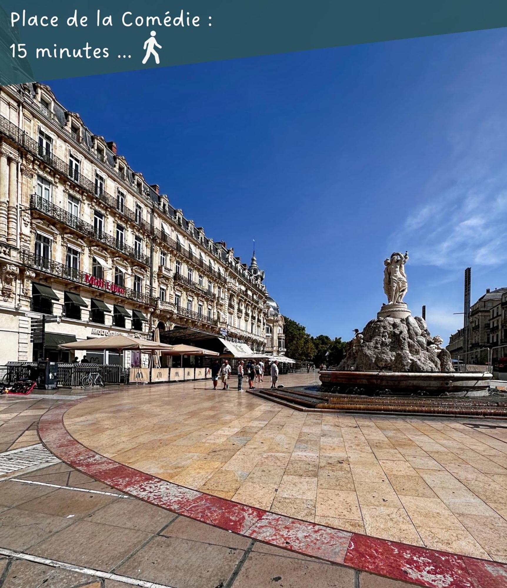 Appartement Entier Cosy Avec Balcon - Centre Montpellier Exterior foto